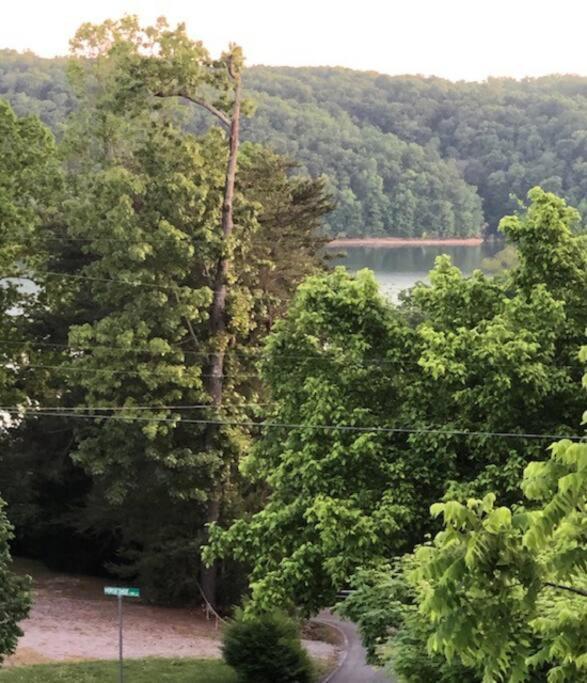 Driftwood Cottage With Hot Tub On Lake Cumberland Russell Springs Exterior photo